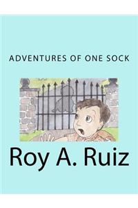 Adventures of One Sock