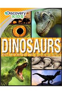 Discovery Kids Dinosaurs