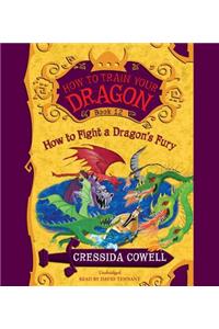 How to Train Your Dragon: How to Fight a Dragon's Fury