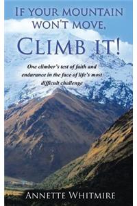 If Your Mountain Won't Move, Climb It!
