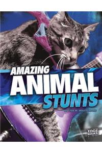 Amazing Animal Stunts