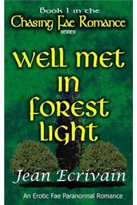 Chasing Fae Romance Book 1 Well Met in Forest Light