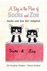 Day in the Paws of Socks and Zoe