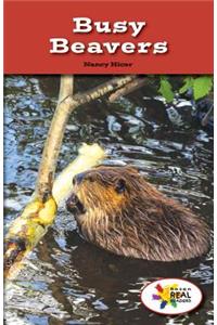 Busy Beavers
