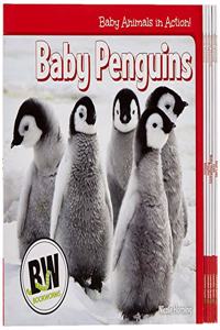 Baby Animals in Action!