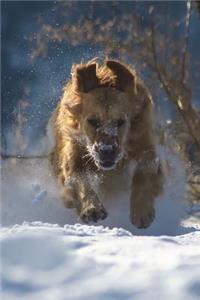 Dog Running Through the Snow Journal