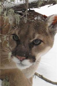 Mountain Lion Coming to Get You Journal: 150 Page Lined Notebook/Diary