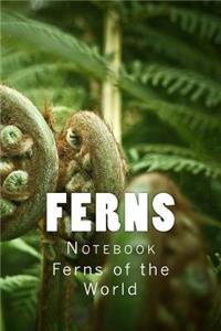 Ferns Notebook