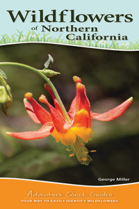 Wildflowers of Northern California