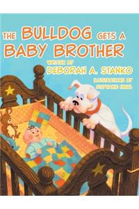 Bulldog Gets A Baby Brother