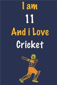 I am 11 And i Love Cricket