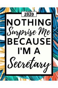 Nothing Surprise Me I'm A Secretary