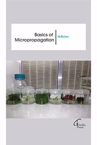 Basics Of Micropropagation