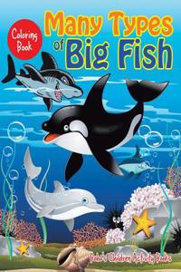 Many Types of Big Fish Coloring Book