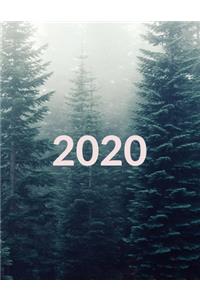 2020