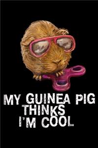 My guinea pig thinks I'm cool