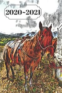 Brown Horse in Rocky Mountains Dated Calendar Planner 2 years To-Do Lists, Tasks, Notes Appointments