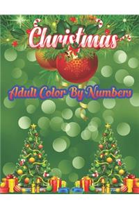 Christmas Adult Color By Numbers