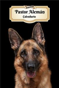 2020 Pastor Alemán Calendario