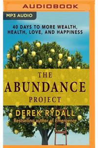 Abundance Project