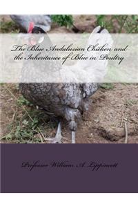 Blue Andalusian Chicken and the Inheritance of Blue in Poultry