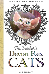 Creator's Devon Rex Cats