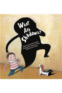 What Are Shadows?