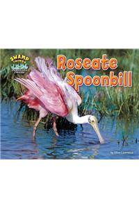 Roseate Spoonbill