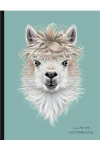Llama Notebook