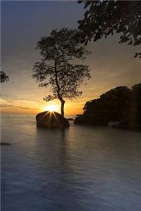 Mangroves On The Shoreline of Phuquoc Island Vietnam At Sunrise