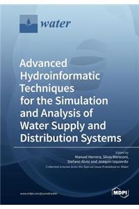 Advanced Hydroinformatic Techniques for the Simulation and Analysis of Water Supply and Distribution Systems