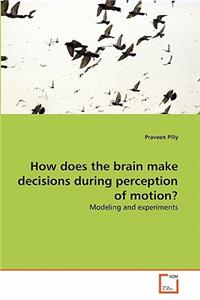 How does the brain make decisions during perception of motion?
