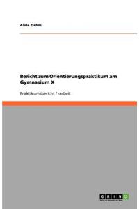 Bericht zum Orientierungspraktikum am Gymnasium X