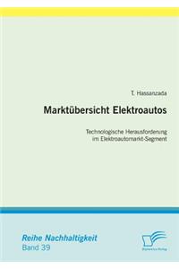 Marktübersicht Elektroautos
