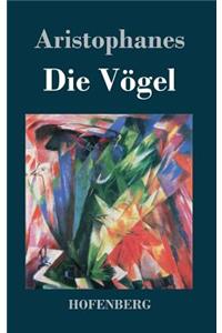 Vögel