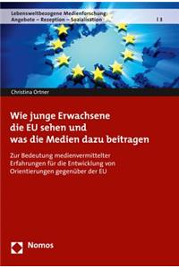 Wie Junge Erwachsene Die Eu Sehen Und Was Die Medien Dazu Beitragen