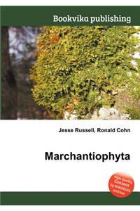 Marchantiophyta