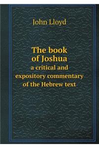The book of Joshua a critical and expository commentary of the Hebrew text