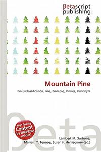 Mountain Pine
