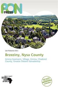 Brzeziny, Nysa County
