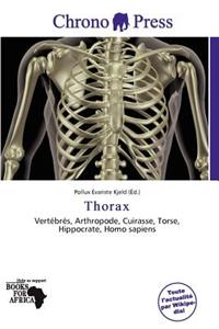 Thorax