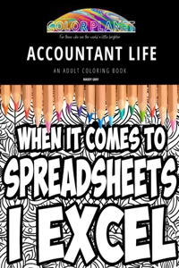 Accountant Life