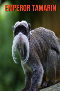 Emperor Tamarin