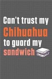 Can't trust my Chihuahua to guard my sandwich