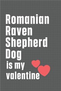 Romanian Raven Shepherd Dog is my valentine