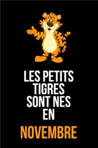 Les petits tigres sont nés en novembre