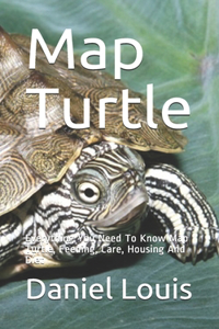 Map Turtle