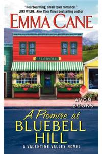 Promise at Bluebell Hill