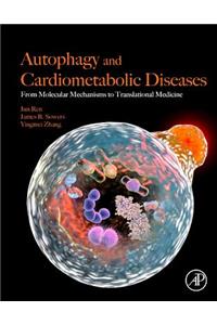 Autophagy and Cardiometabolic Diseases