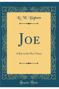 Joe: A Boy in the War-Times (Classic Reprint)